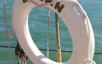 È Tutto Sotto Controllo. O Almeno Così Spero!