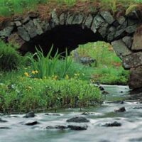 Qual è la pietra che sostiene il ponte?